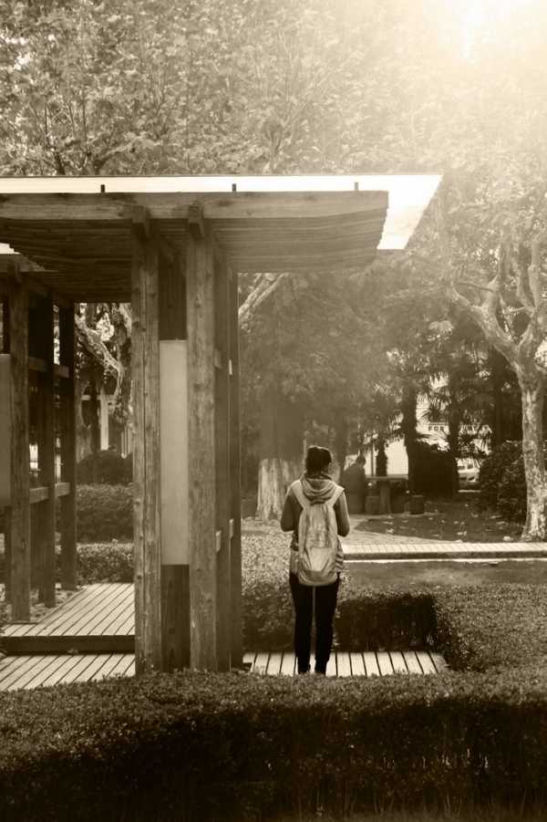 雪缘园足球比分