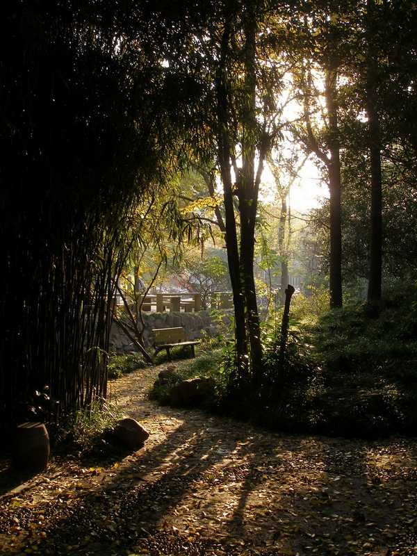 雪缘园足球比分