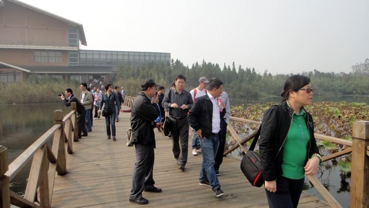 雪缘园足球比分
