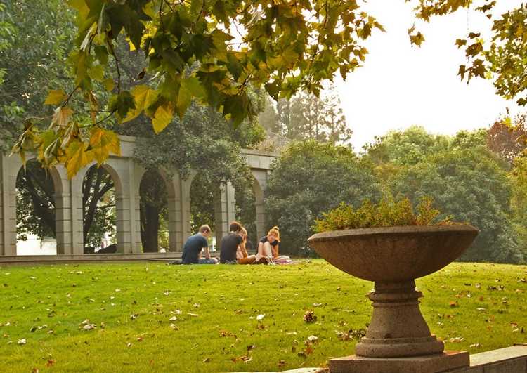 雪缘园足球比分