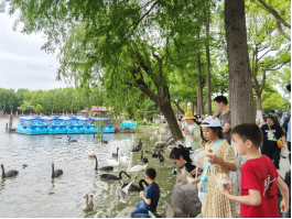 雪缘园足球比分