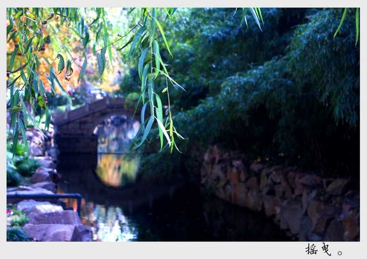 雪缘园足球比分