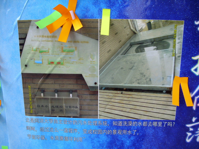 雪缘园足球比分