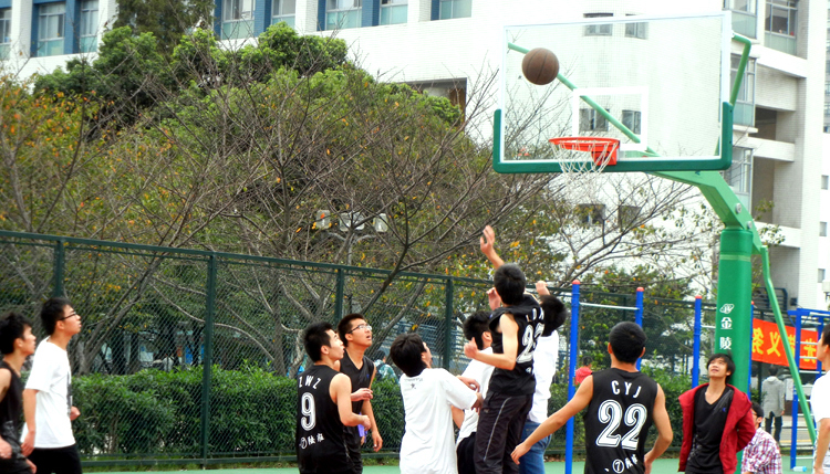 雪缘园足球比分