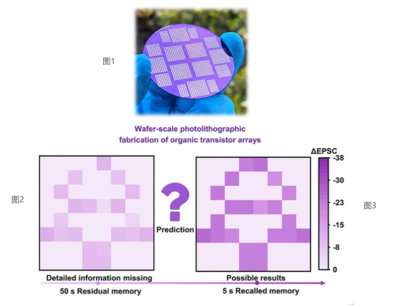 雪缘园足球比分