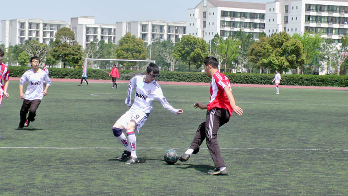 雪缘园足球比分