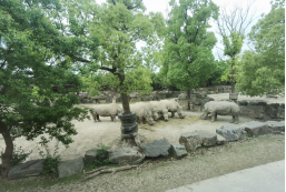 雪缘园足球比分