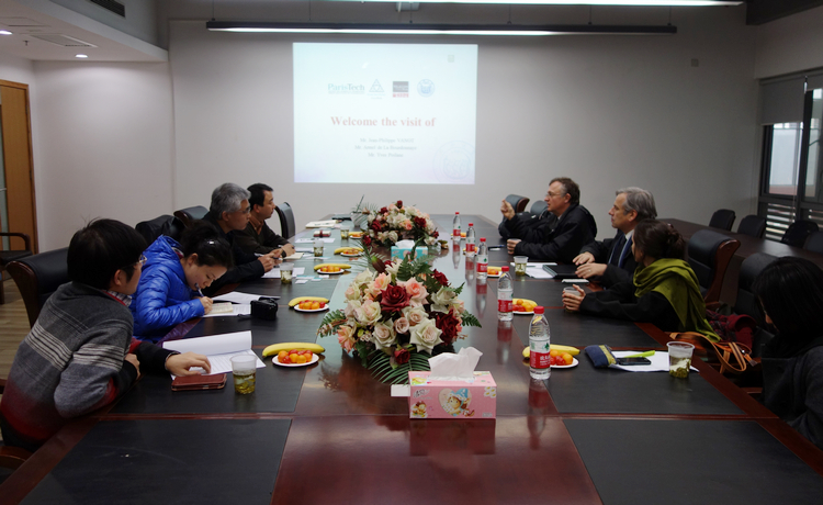 雪缘园足球比分