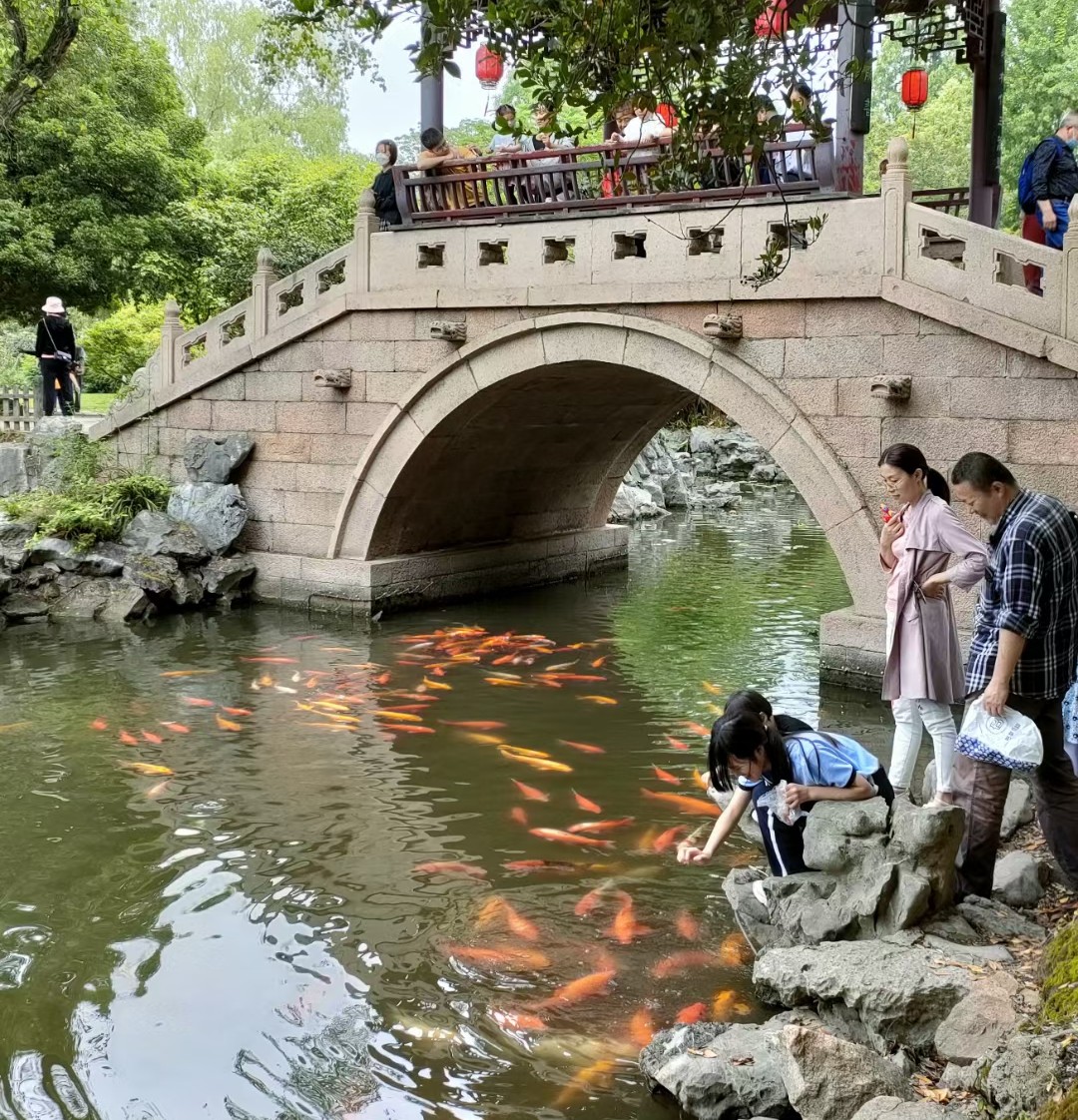 雪缘园足球比分