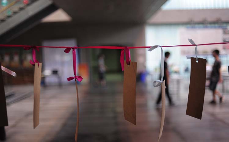 雪缘园足球比分