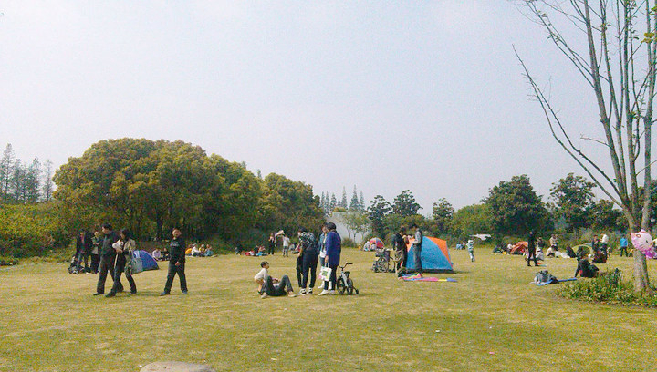 雪缘园足球比分