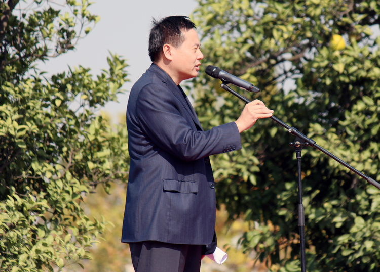 雪缘园足球比分