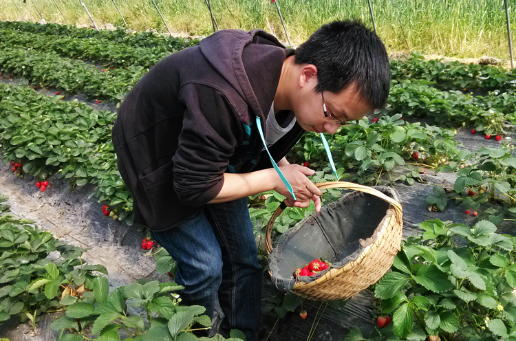 雪缘园足球比分