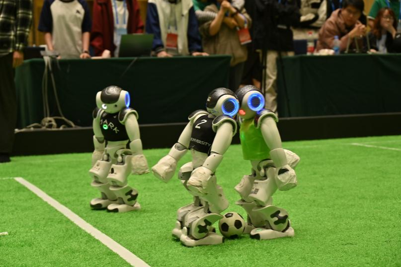 雪缘园足球比分