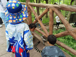 雪缘园足球比分