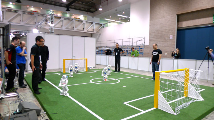 雪缘园足球比分