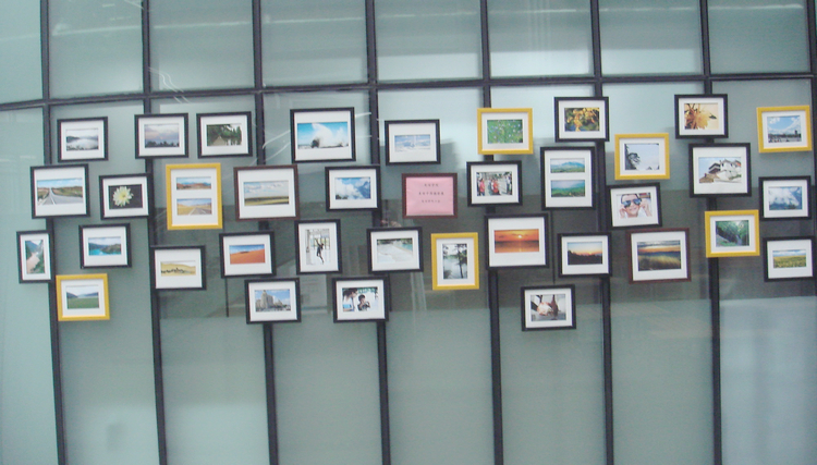 雪缘园足球比分