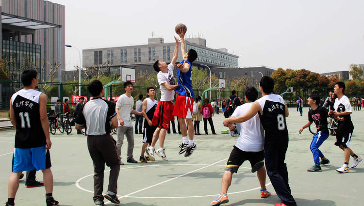 雪缘园足球比分