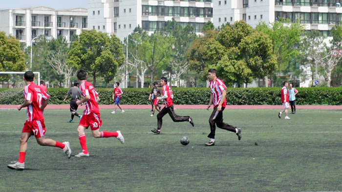 雪缘园足球比分