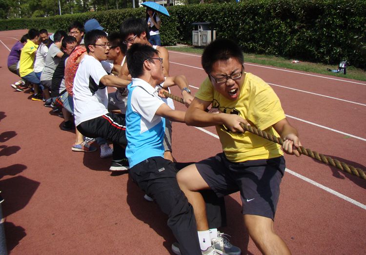 雪缘园足球比分