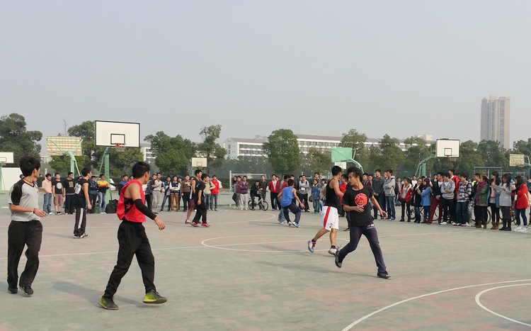 雪缘园足球比分