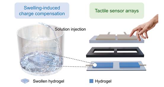 雪缘园足球比分