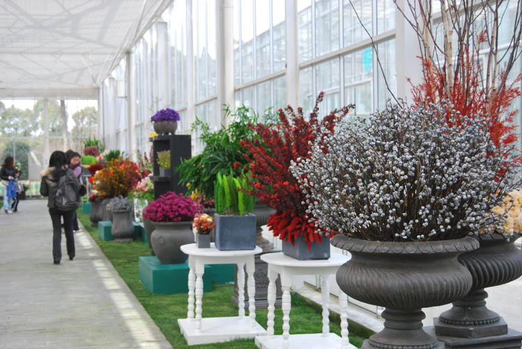 雪缘园足球比分