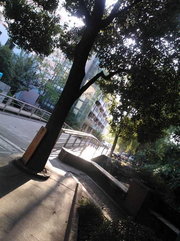 雪缘园足球比分