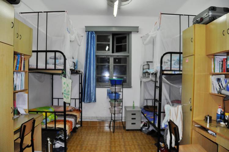 雪缘园足球比分