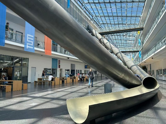 雪缘园足球比分