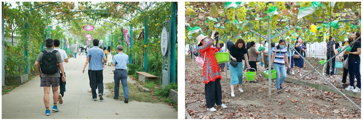 雪缘园足球比分