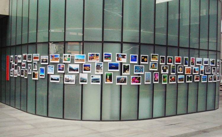 雪缘园足球比分