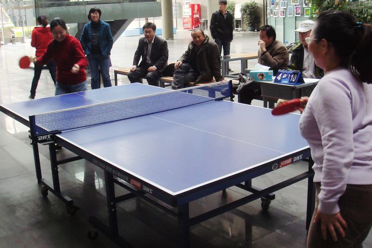 雪缘园足球比分