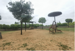 雪缘园足球比分