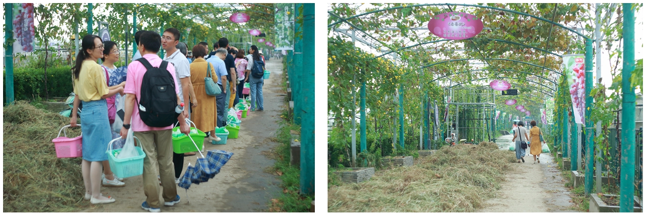 雪缘园足球比分