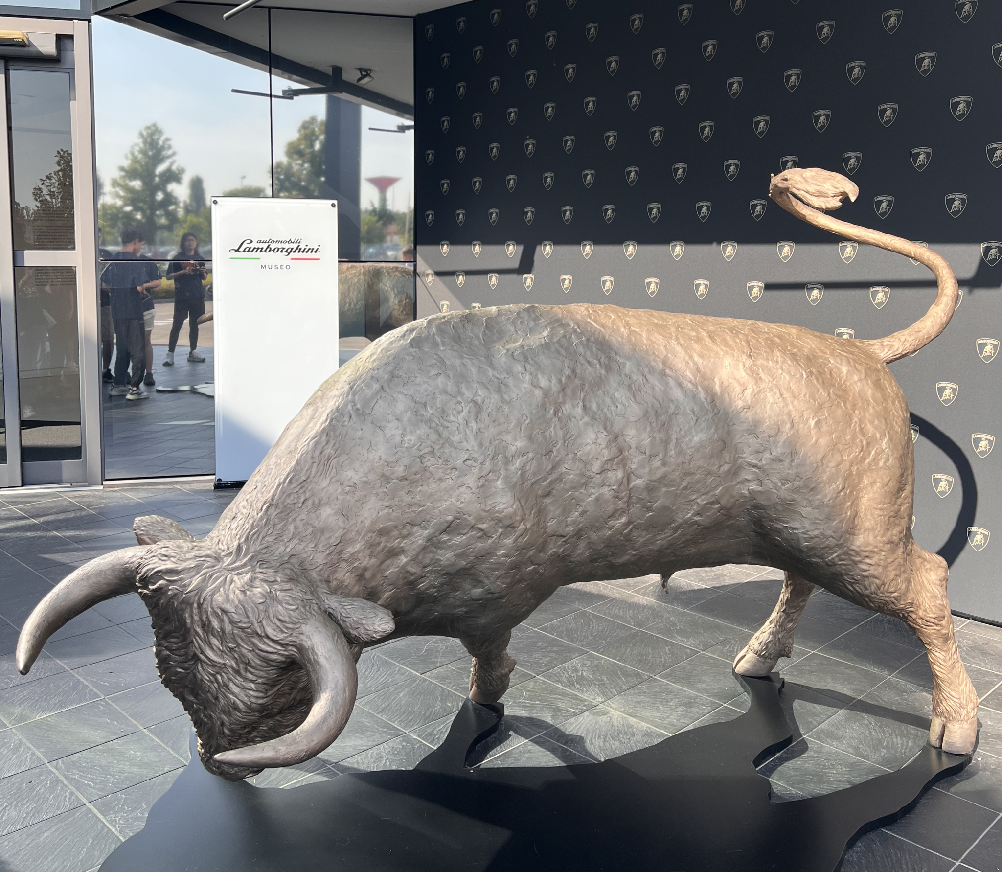 雪缘园足球比分