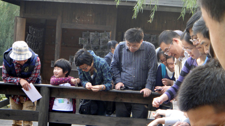 雪缘园足球比分