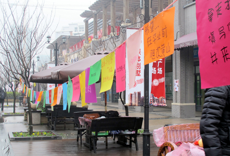 雪缘园足球比分