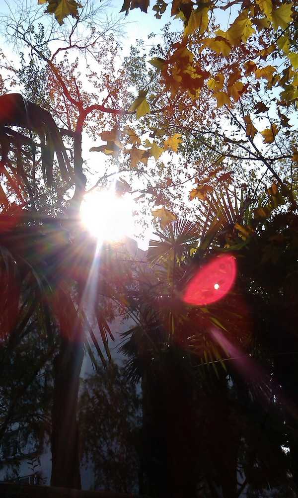 雪缘园足球比分