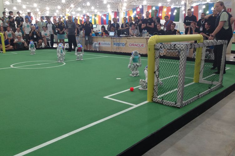 雪缘园足球比分