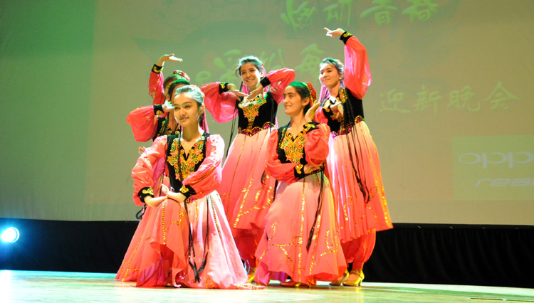 雪缘园足球比分