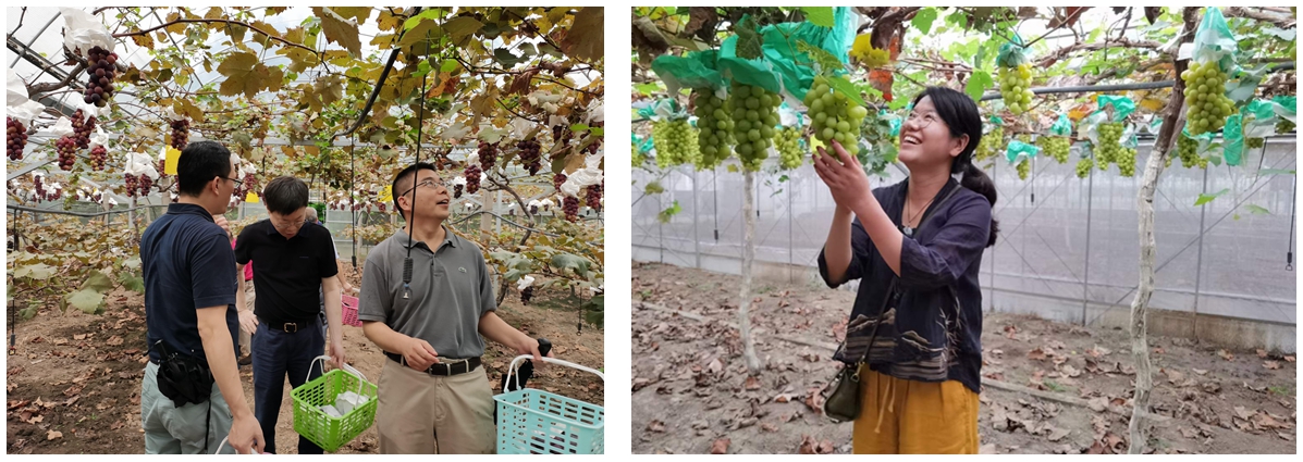 雪缘园足球比分