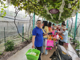 雪缘园足球比分