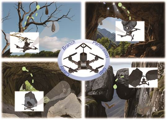 雪缘园足球比分