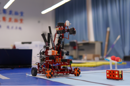 雪缘园足球比分