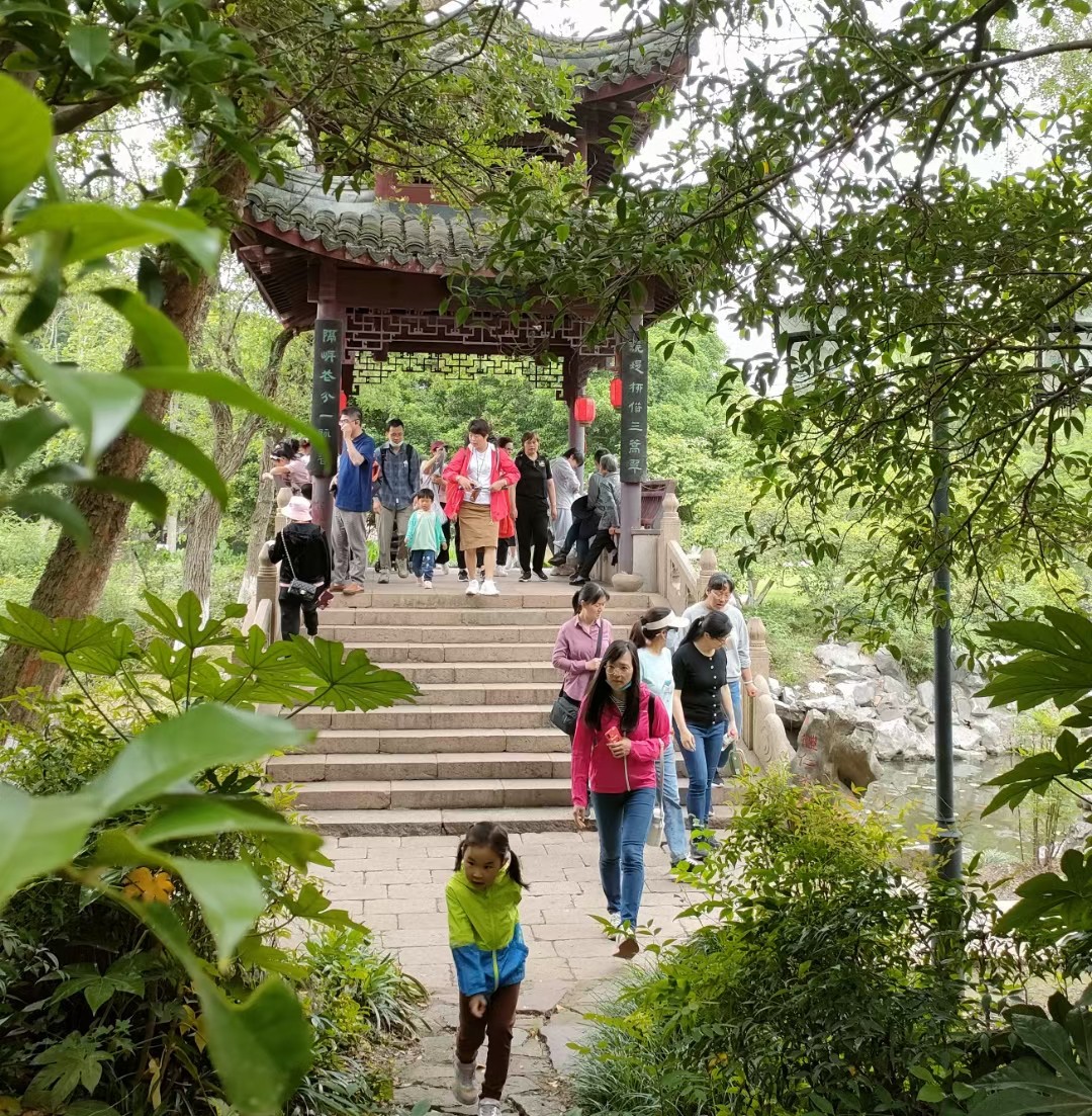 雪缘园足球比分