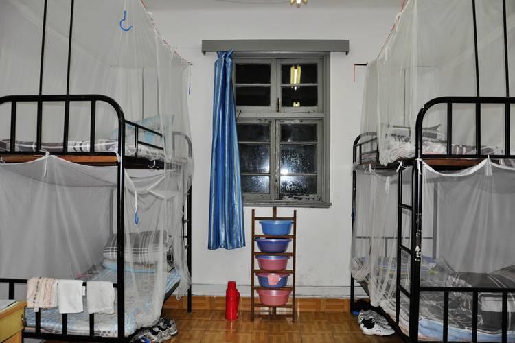 雪缘园足球比分