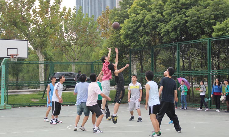 雪缘园足球比分